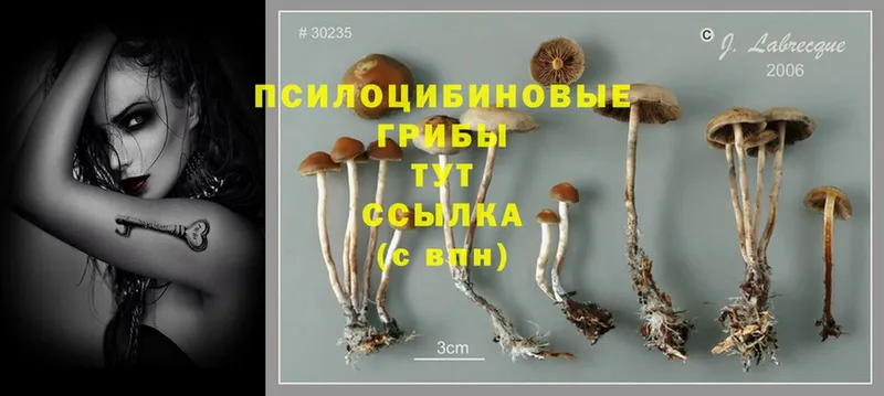 Псилоцибиновые грибы MAGIC MUSHROOMS  Советский 